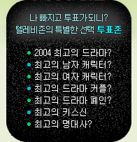 투표존