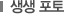 생생 포토